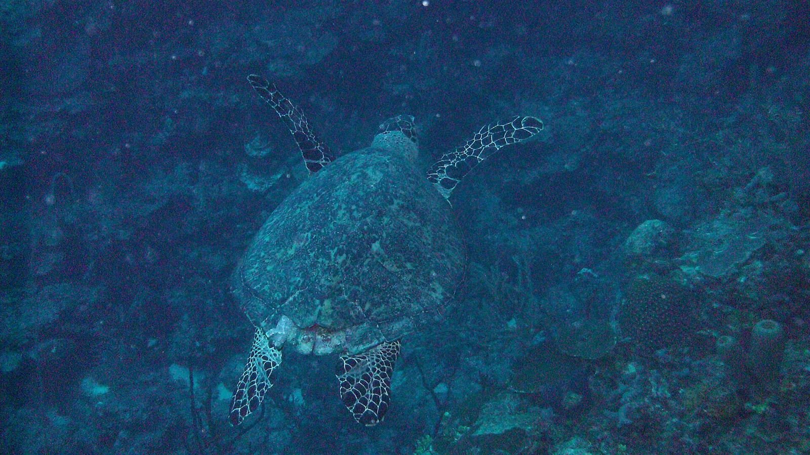 Akumal · 26 km